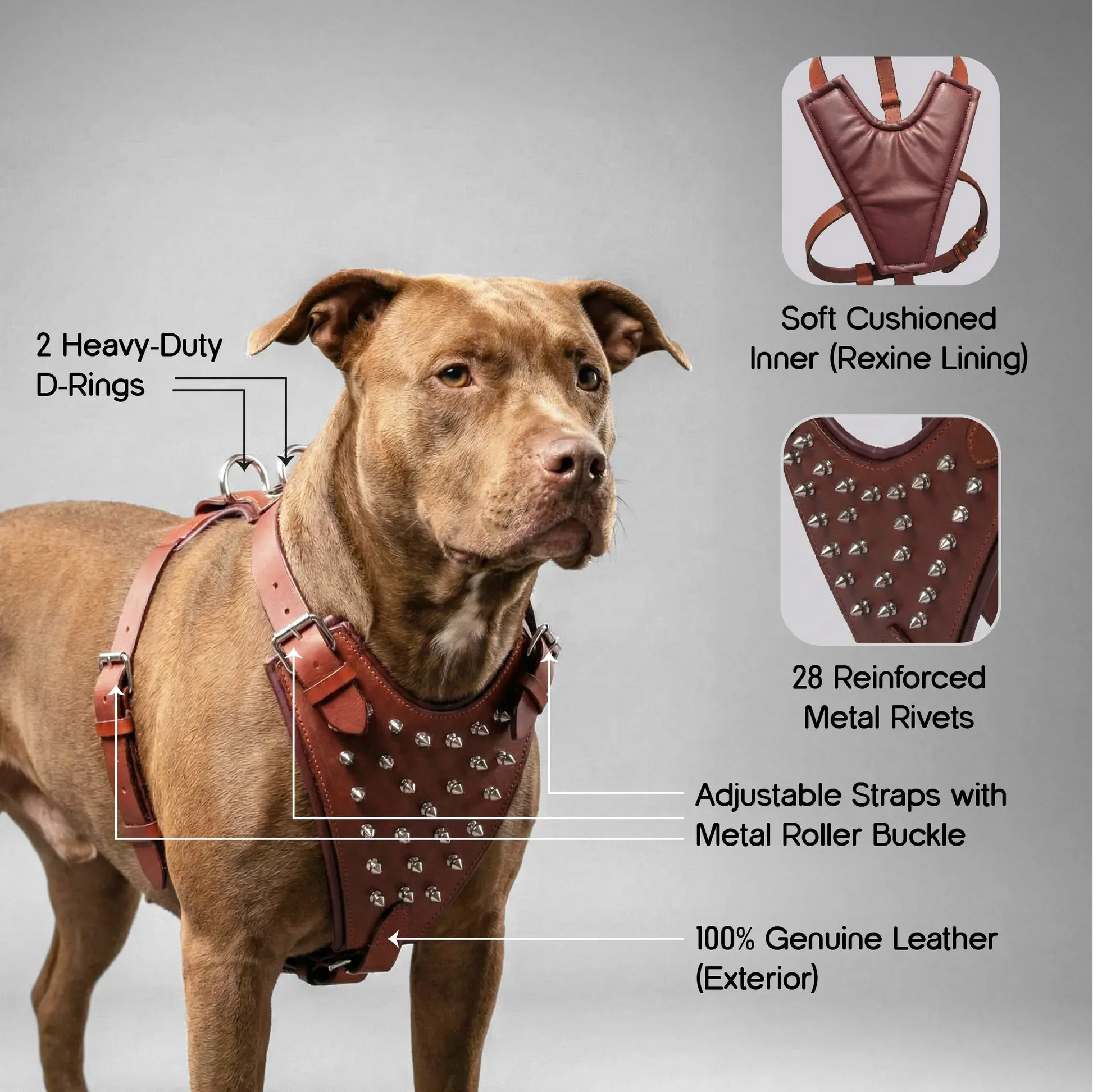 Kingsguard Leather Harness | Genuine Leather Exterior | Rexine Cushioning | No-Choke Walk Control - Tilting Heads
