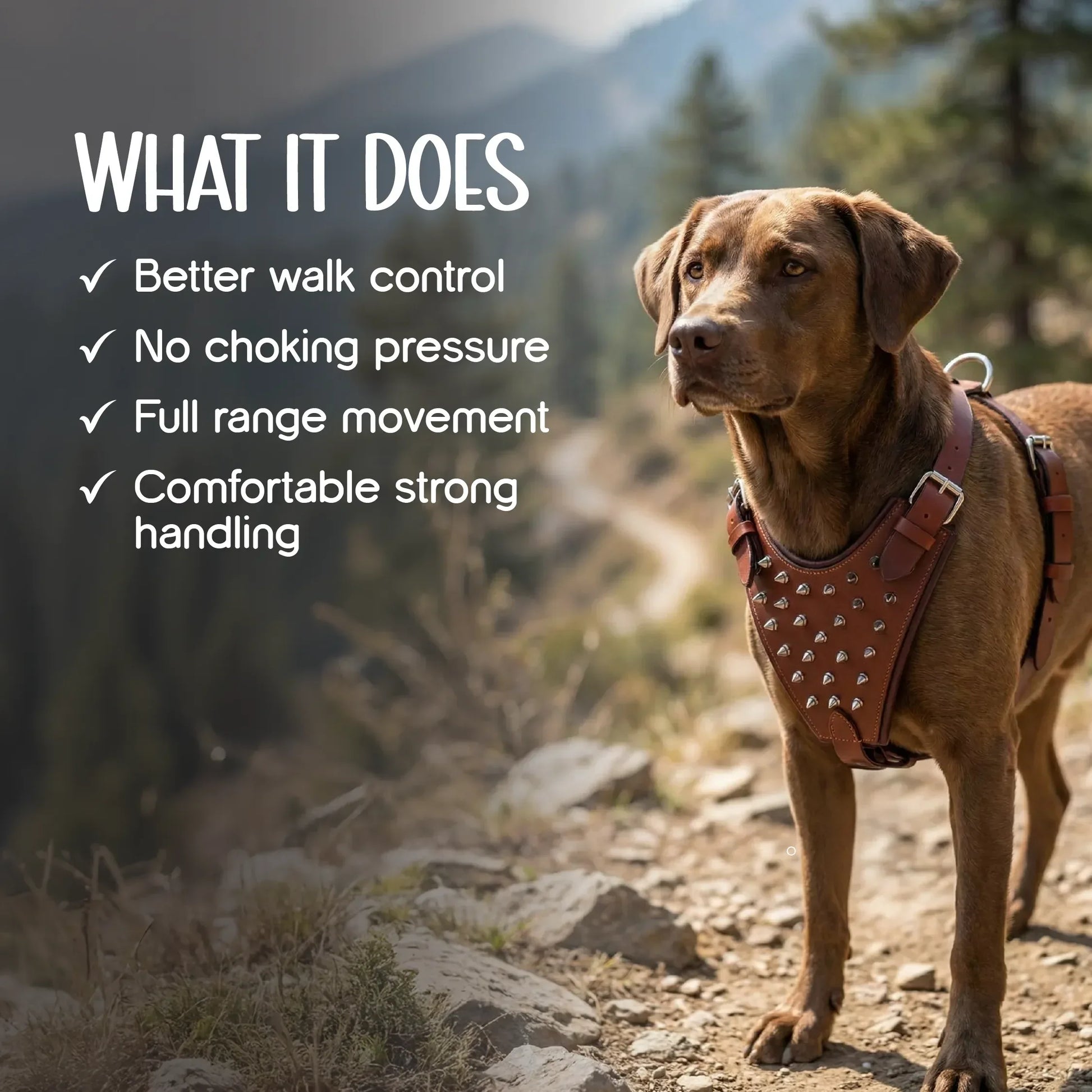 Kingsguard Leather Harness | Genuine Leather Exterior | Rexine Cushioning | No-Choke Walk Control - Tilting Heads