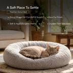 Kitten Starter Pack | Sip, Scratch, Play & Nap