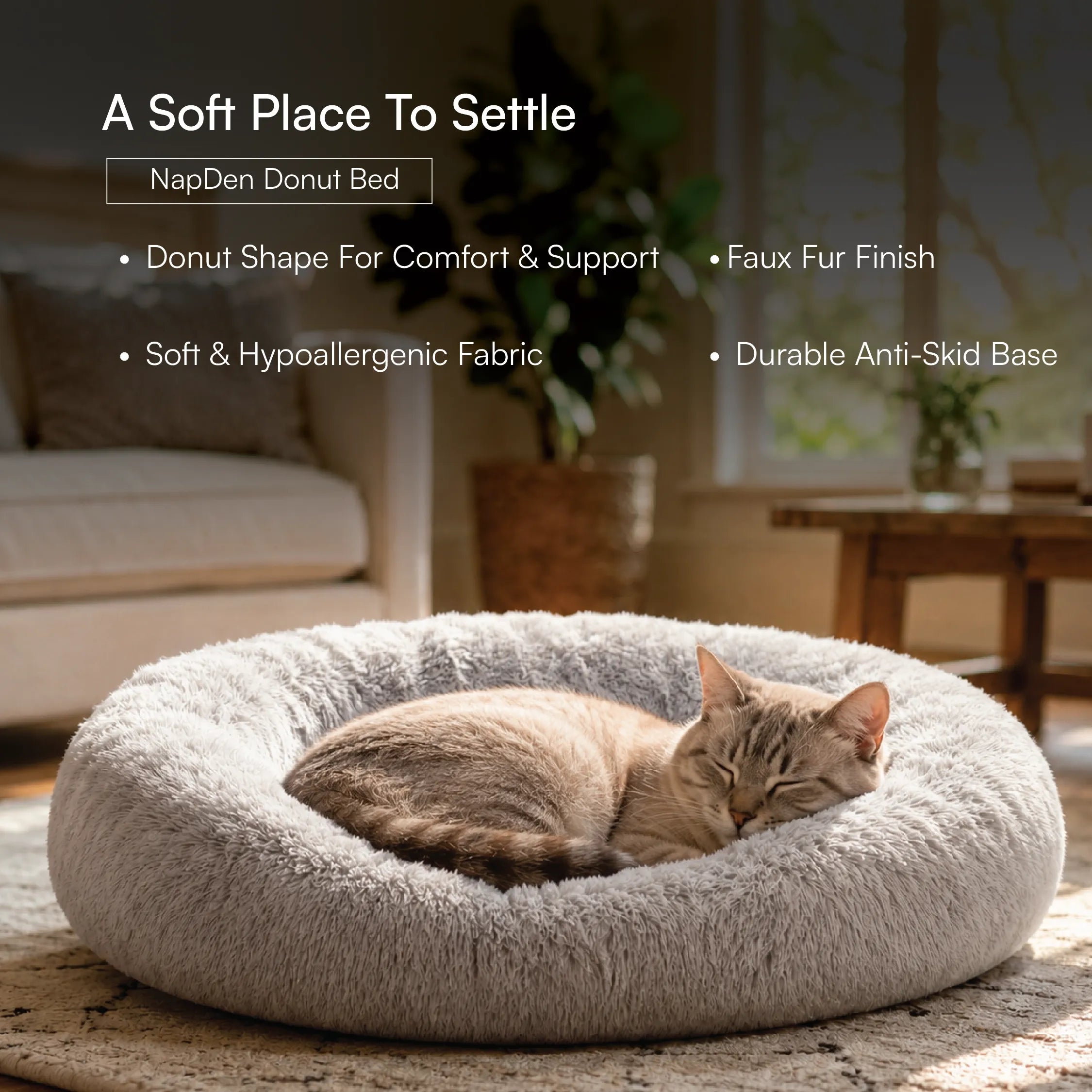 Kitten Starter Pack | Sip, Scratch, Play & Nap