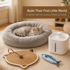 Kitten Starter Pack | Sip, Scratch, Play & Nap