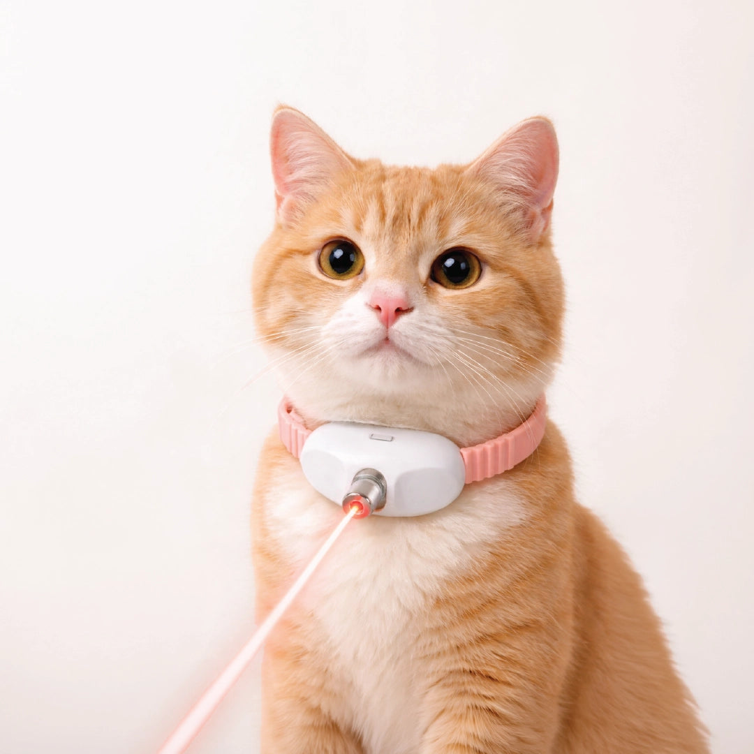 LaserPlay Collar | Active Chase Stimulation | Interactive Toy For Cats