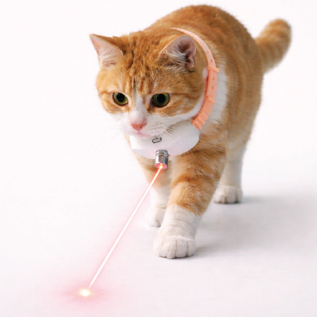 LaserPlay Collar | Active Chase Stimulation | Interactive Toy For Cats