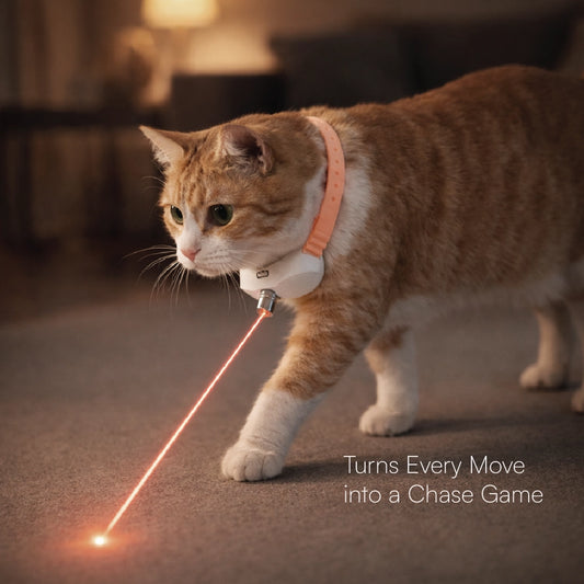 LaserPlay Collar | Active Chase Stimulation | Interactive Toy For Cats