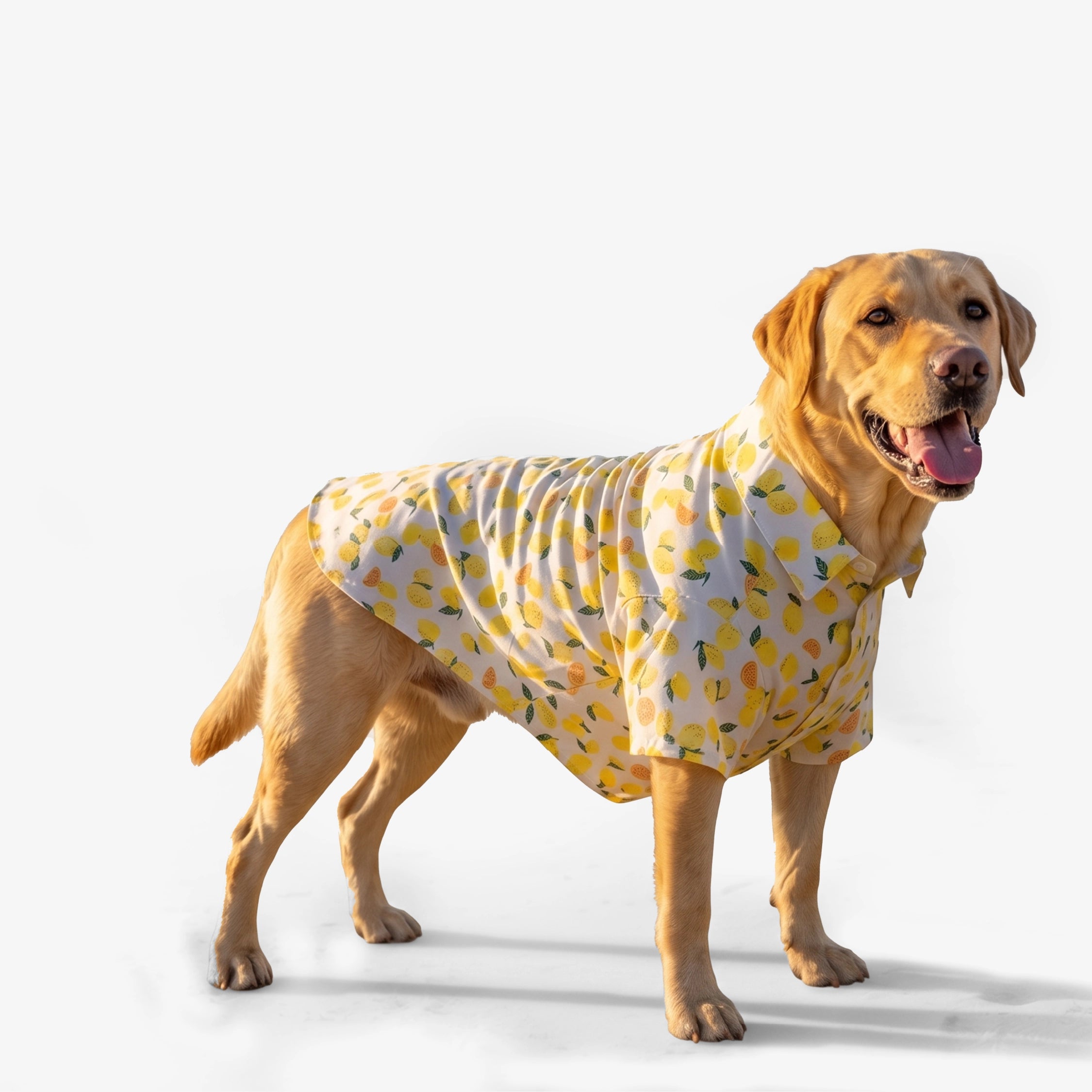 Lemon Pop Shirt