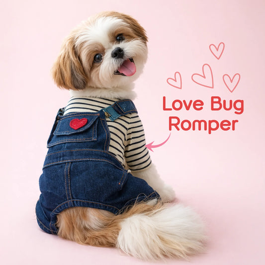 Love Bug Romper – Denim Outfit for Small Pets