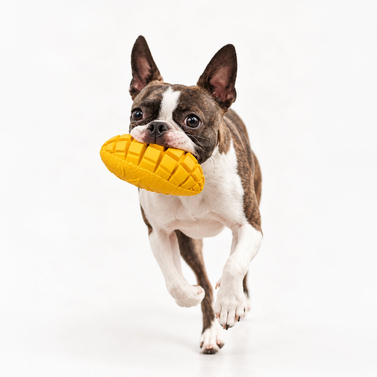 MangoMunch Chew Toy
