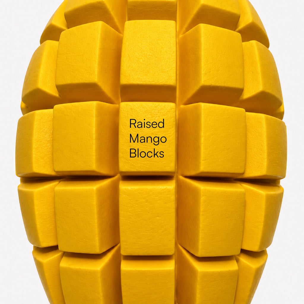 MangoMunch Chew Toy
