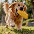 MangoMunch Chew Toy
