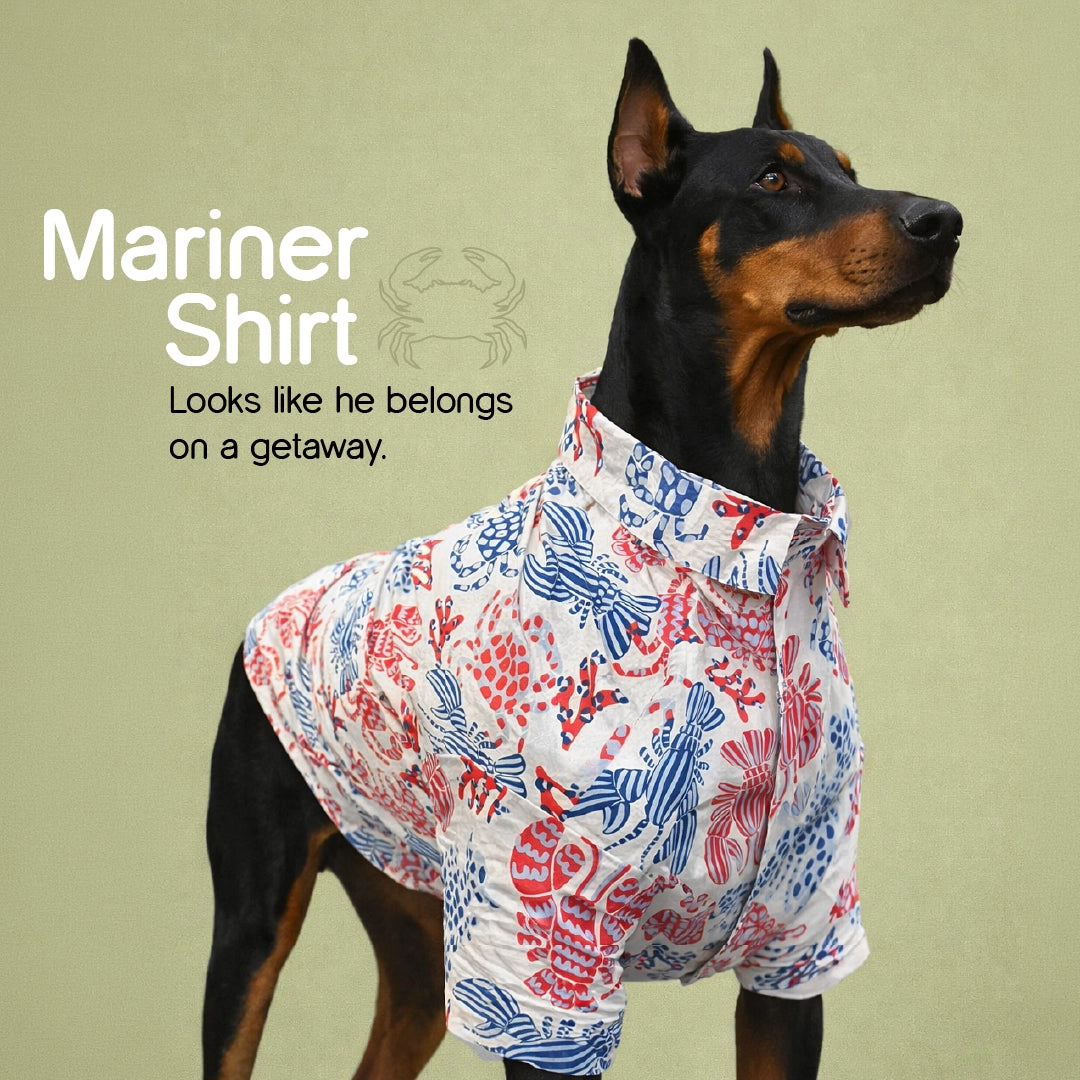 Mariner Shirt – Stylish Summer Wear for Dogs