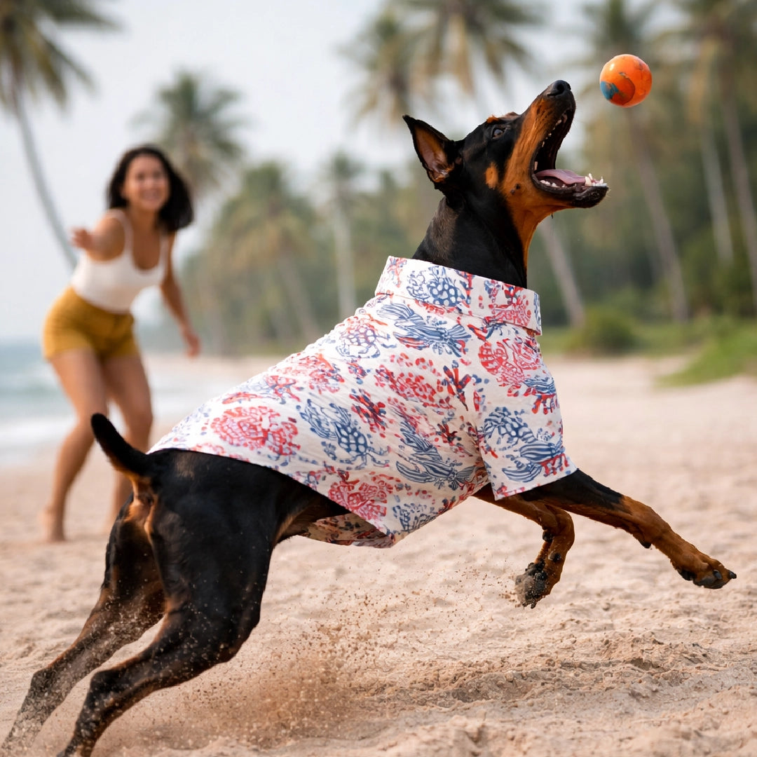 Mariner Shirt – Stylish Summer Wear for Dogs