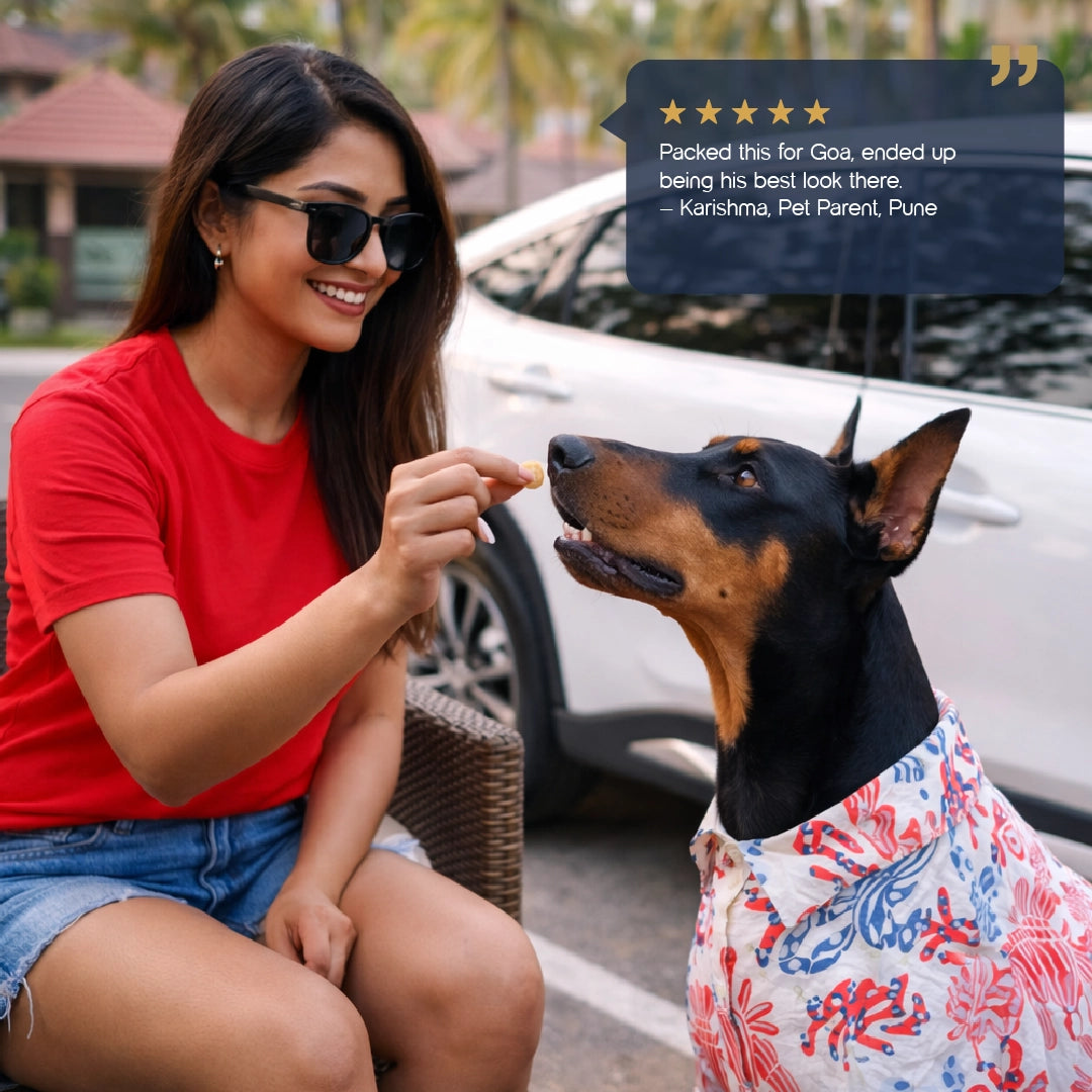 Mariner Shirt – Stylish Summer Wear for Dogs
