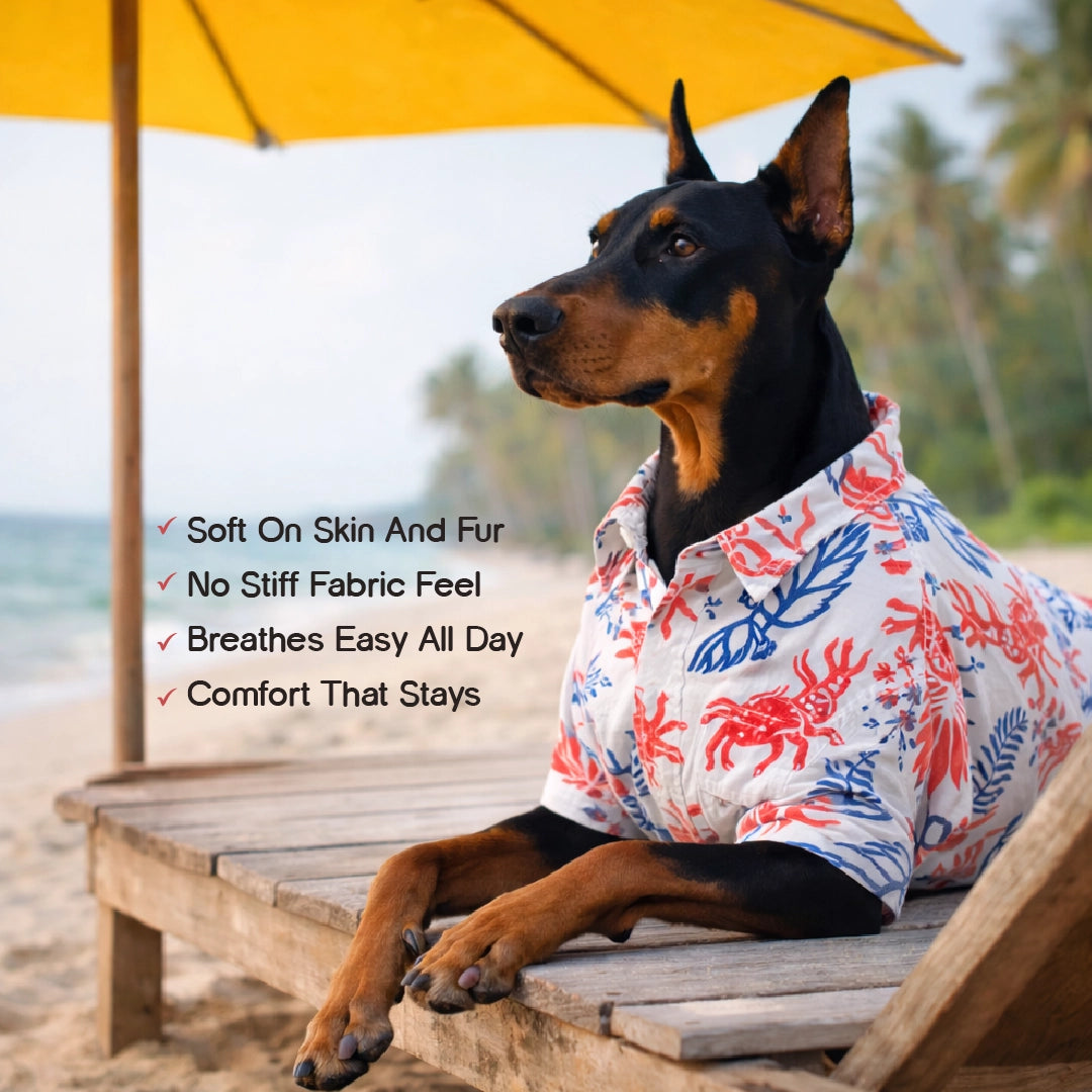Mariner Shirt – Stylish Summer Wear for Dogs