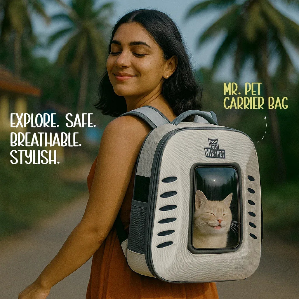 Mr. Pet Carrier Bag – Stylish, Secure Travel Gear for Pet Moms - Tilting Heads