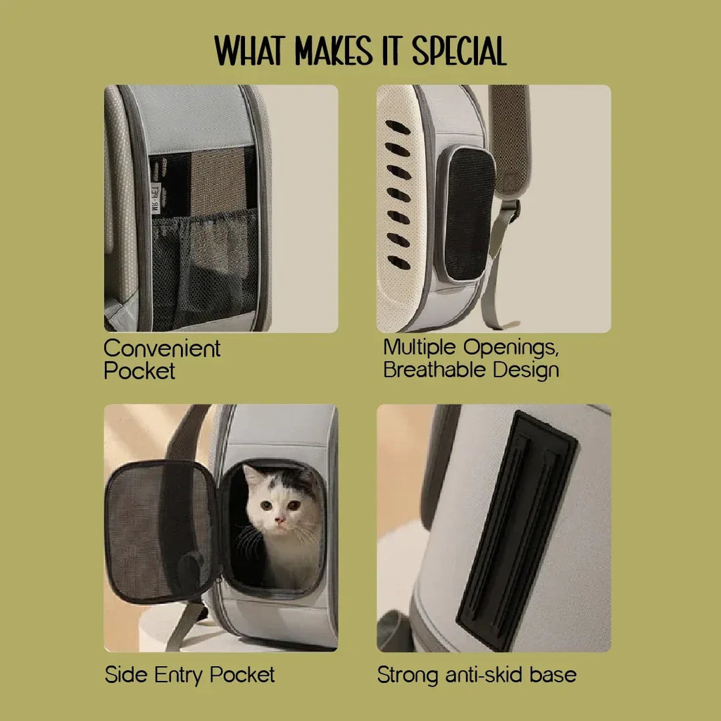 Mr. Pet Carrier Bag – Stylish, Secure Travel Gear for Pet Moms - Tilting Heads