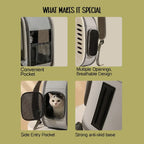 Mr. Pet Carrier Bag – Stylish, Secure Travel Gear for Pet Moms - Tilting Heads
