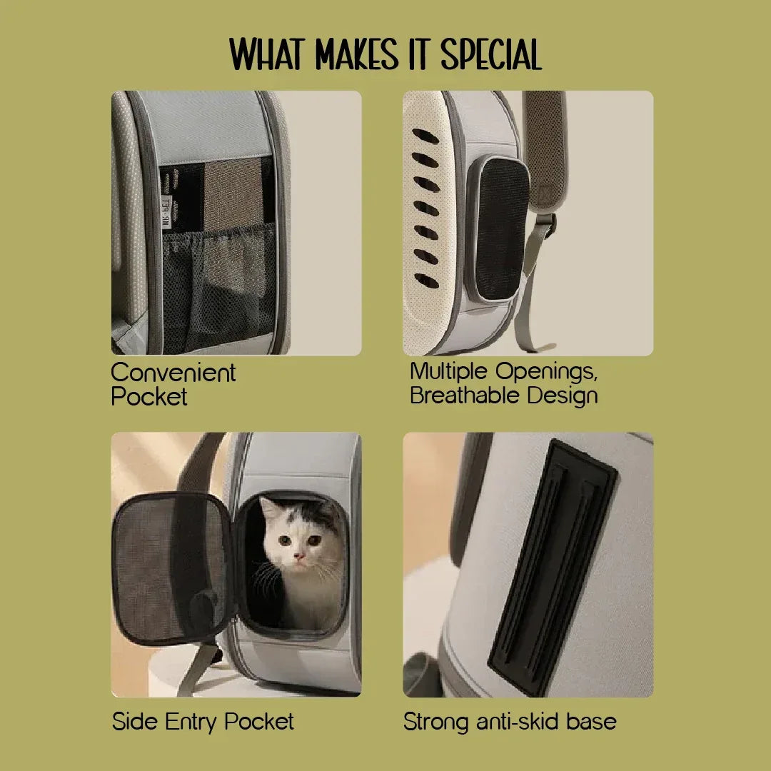 Mr. Pet Carrier Bag – Stylish, Secure Travel Gear for Pet Moms - Tilting Heads