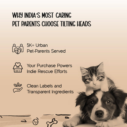 Mealbone Mat | Bone-Shaped, Non-Slip Comfort | Clean Paws, Cozy Floors