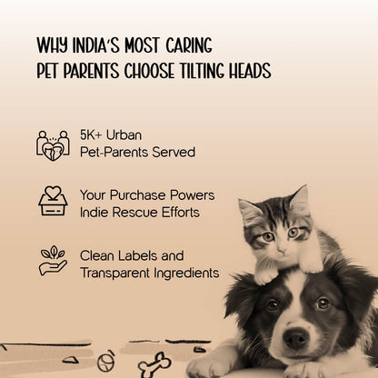 Mealbone Mat | Bone-Shaped, Non-Slip Comfort | Clean Paws, Cozy Floors