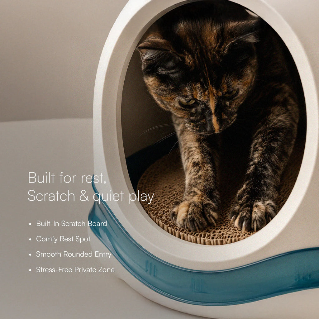 Meow Cave – Covered Cat Lounge with Built-in Scratch Board | Safe, Cozy & Enclosed