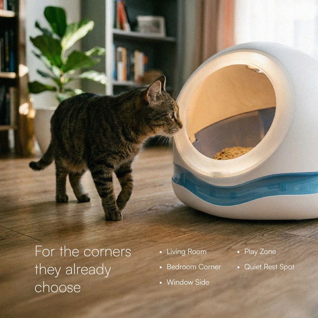 Meow Cave – Covered Cat Lounge with Built-in Scratch Board | Safe, Cozy & Enclosed
