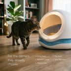 Meow Cave – Covered Cat Lounge with Built-in Scratch Board | Safe, Cozy & Enclosed