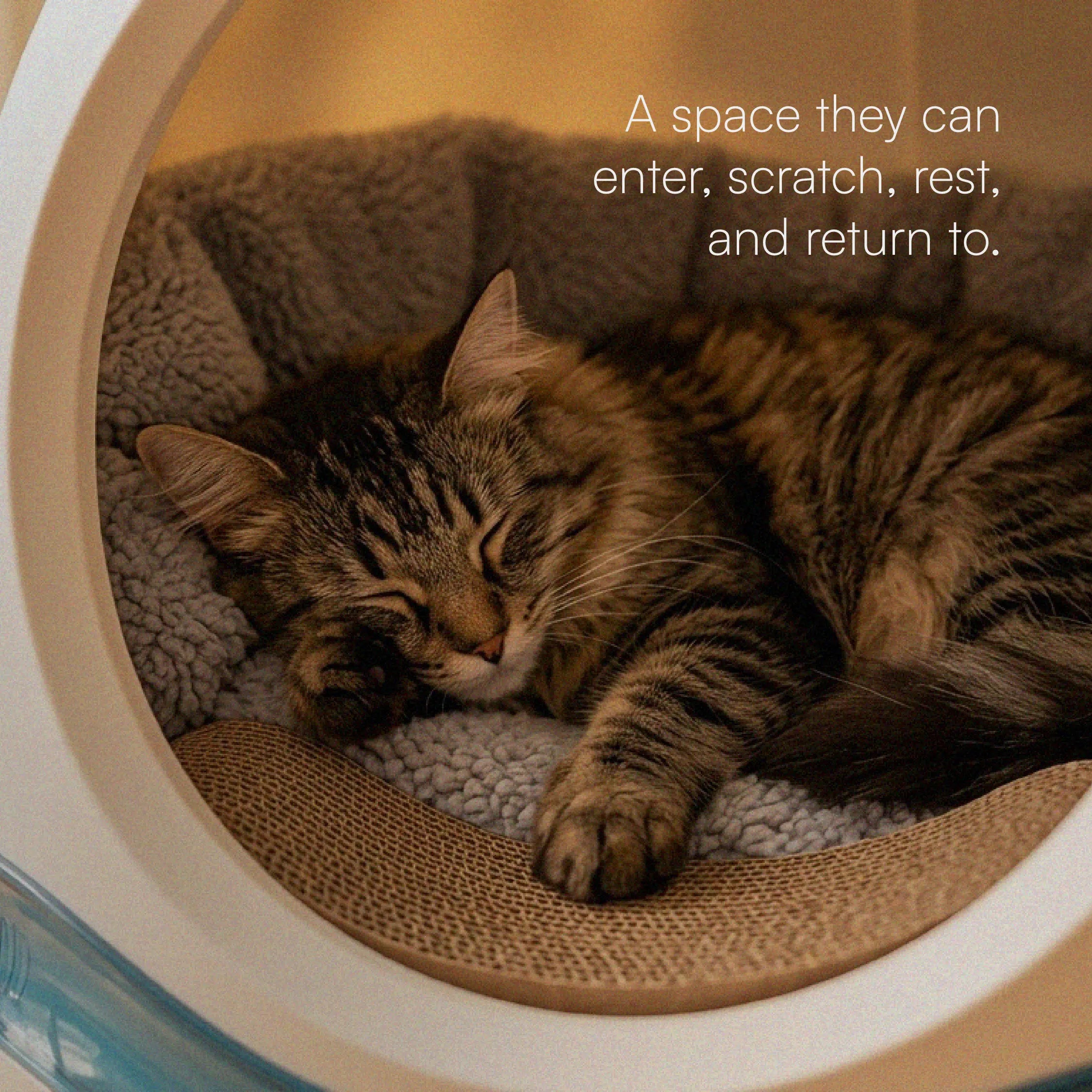 Meow Cave – Covered Cat Lounge with Built-in Scratch Board | Safe, Cozy & Enclosed