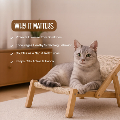 Meow Scratch Lounge – Cat Scratcher & Relax Bed