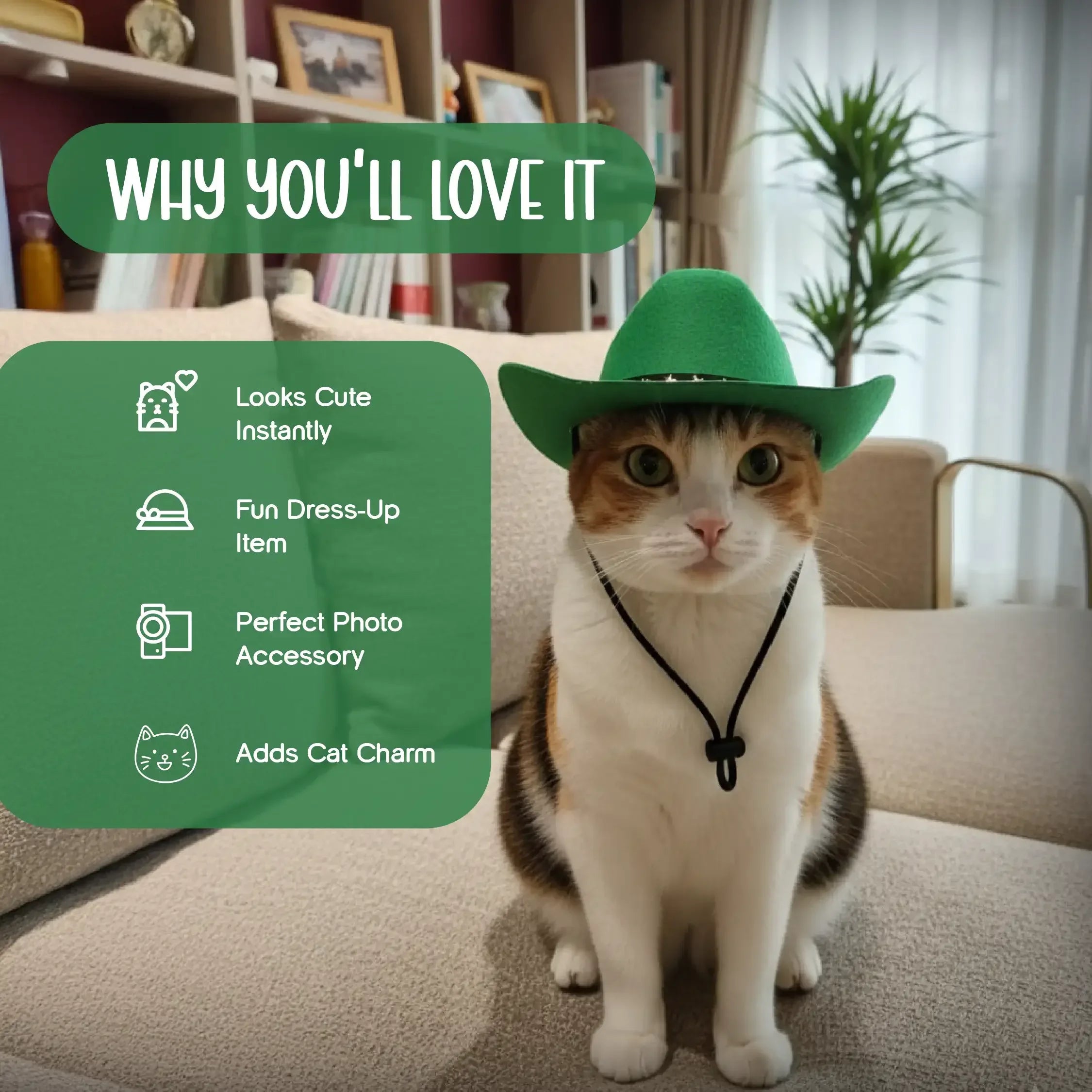 Meowverick Hat – Cute Dress-Up Hat for Stylish Cats - Tilting Heads