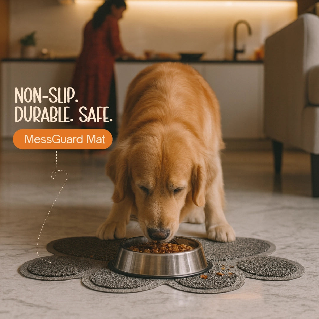 MessGuard Mat – All-Purpose Dirt & Dust Catcher