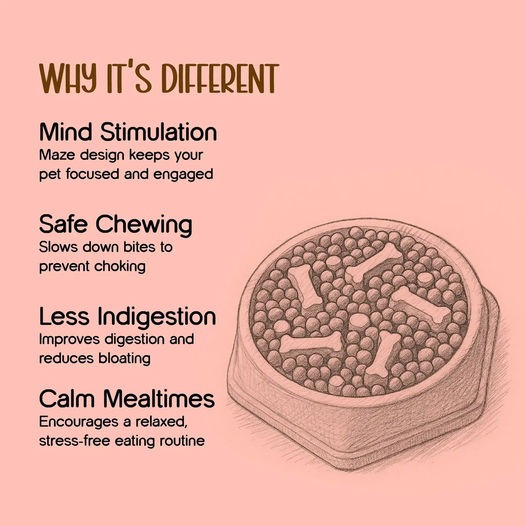 MindfulMunch Bowl – Interactive Pet Bowl for Healthy Eating - Tilting Heads