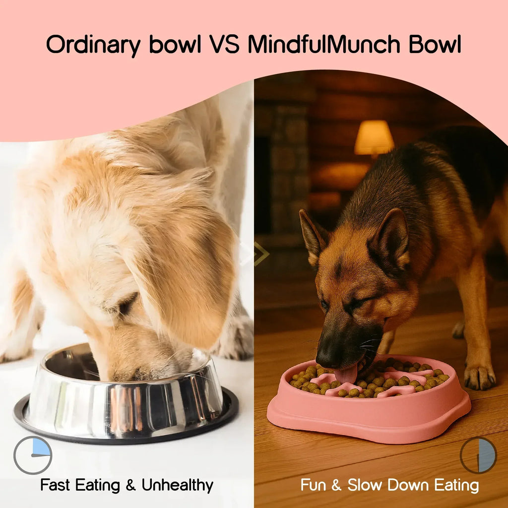 MindfulMunch Bowl – Interactive Pet Bowl for Healthy Eating - Tilting Heads