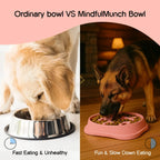 MindfulMunch Bowl – Interactive Pet Bowl for Healthy Eating - Tilting Heads