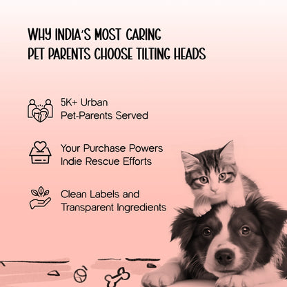MindfulMunch Bowl – Interactive Pet Bowl for Healthy Eating