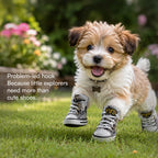 MiniKick Sneakers – Stylish & Comfortable Sneakers for Small Dogs & Cats