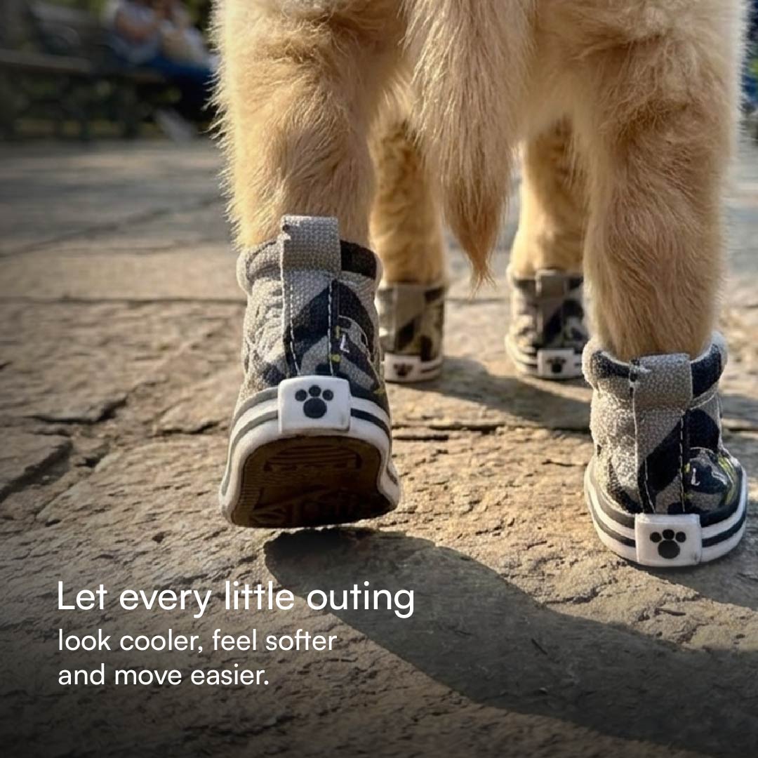 MiniKick Sneakers – Stylish & Comfortable Sneakers for Small Dogs & Cats