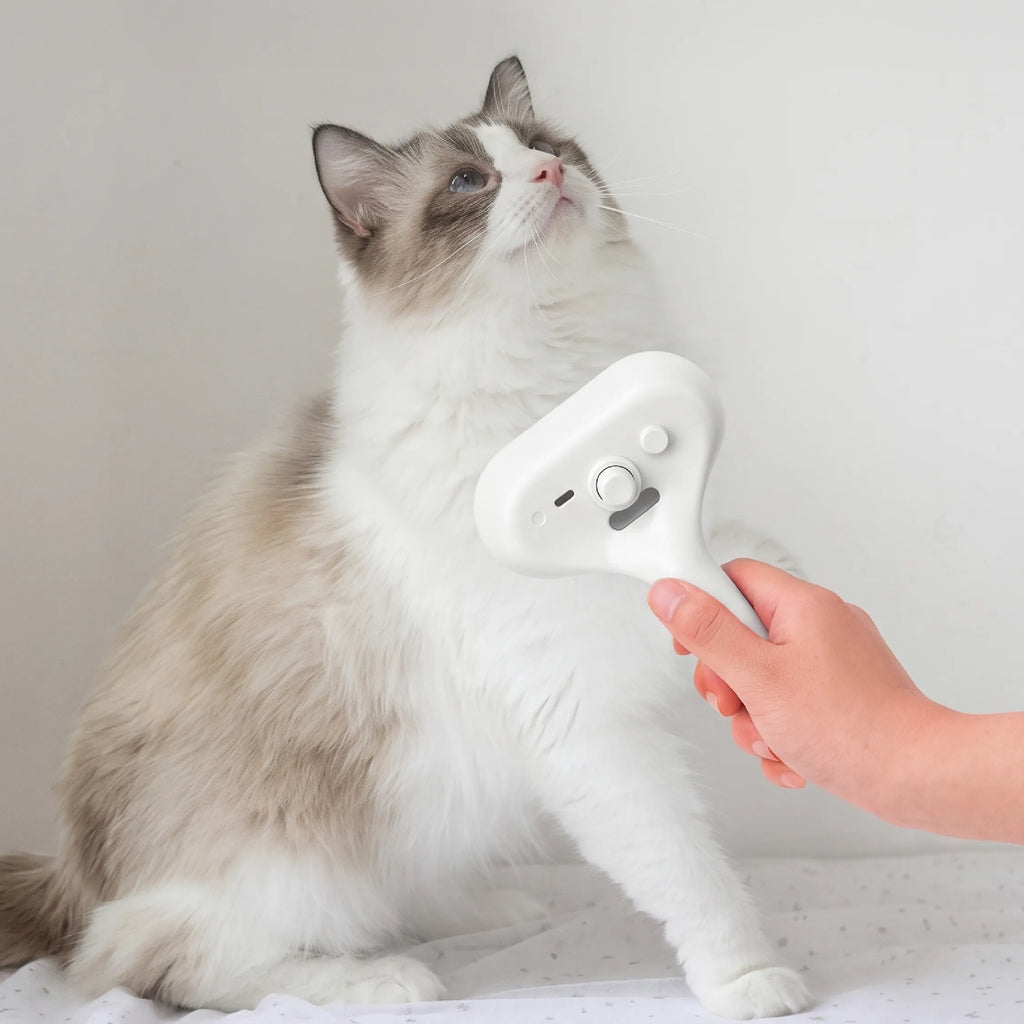 Handheld mist grooming brush held near a white cat for gentle brushing