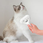 Handheld mist grooming brush held near a white cat for gentle brushing