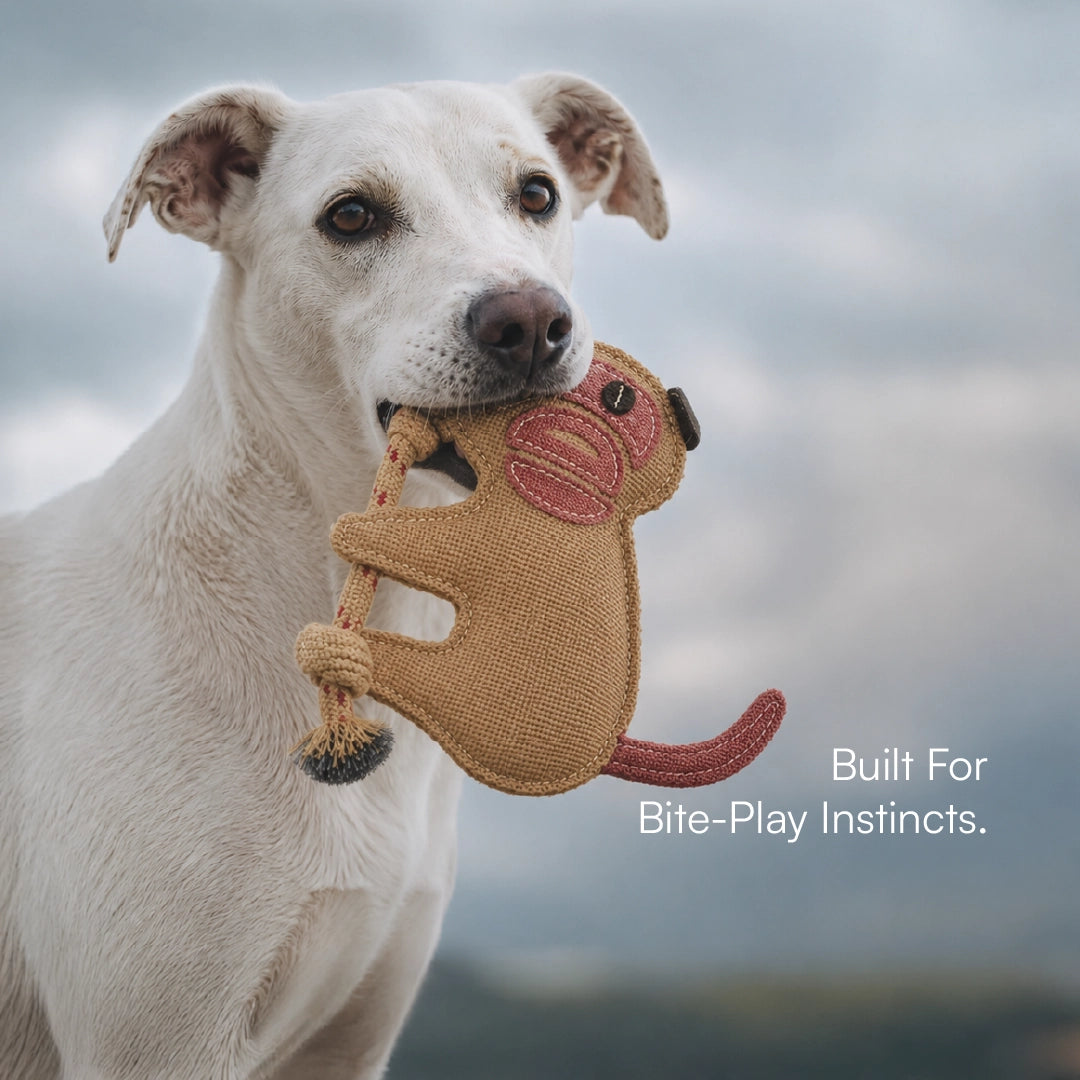 MonkeyChew Toy Organic Jute Chew & Tug Toy For Dogs & Cats