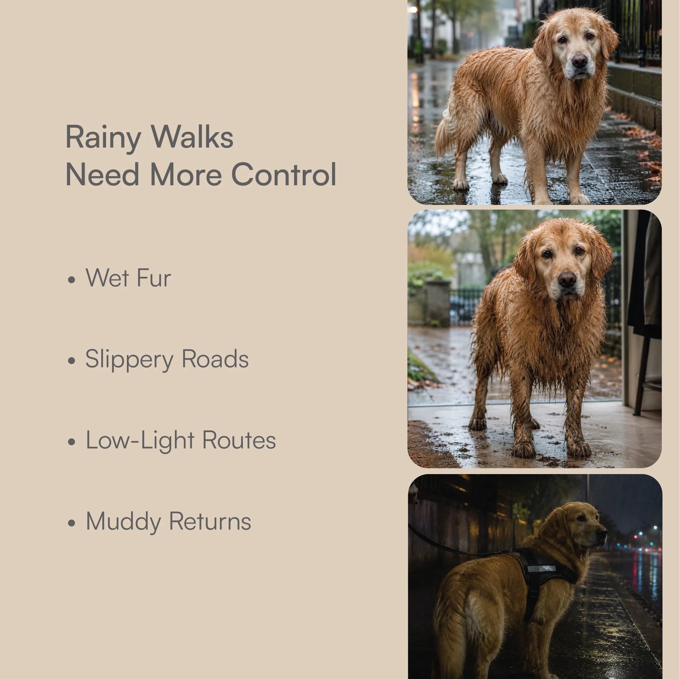Monsoon Ready Kit | Cover, Grip & Glow
