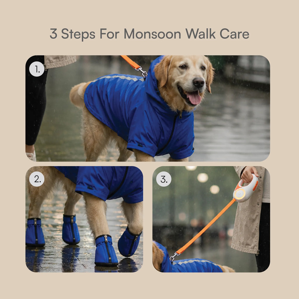 Monsoon Ready Kit | Cover, Grip & Glow