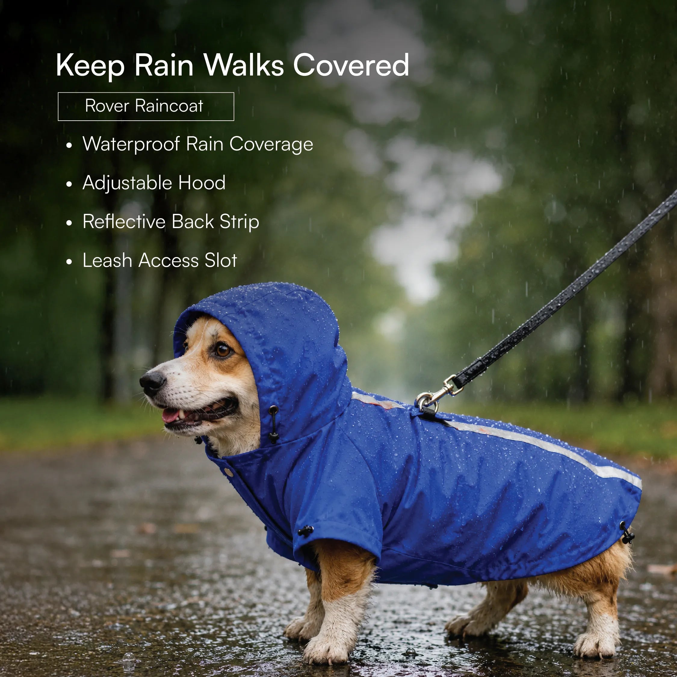 Monsoon Ready Kit | Cover, Grip & Glow