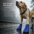 Monsoon Ready Kit | Cover, Grip & Glow