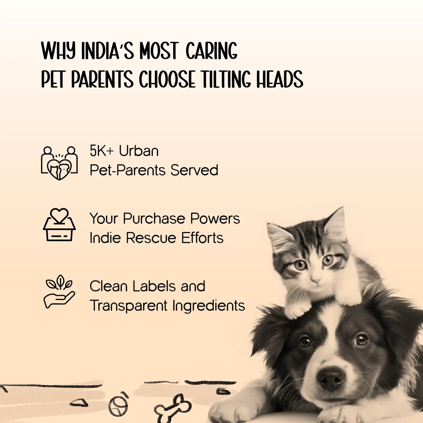 Moonbeam Nap Pod | Cozy Capsule Bed | Playful Comfort for Cats