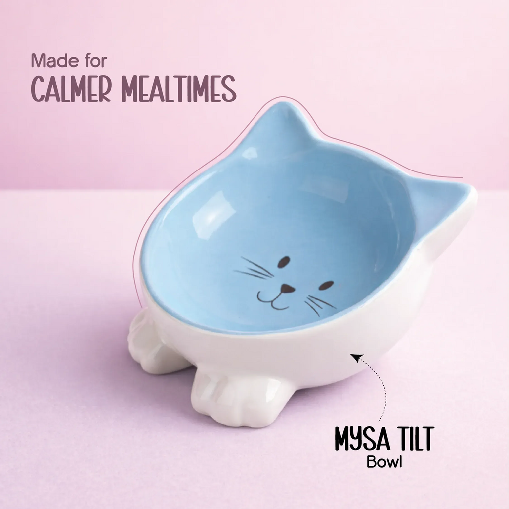 Mysa Tilt Bowl – Tilted Ceramic Feeding Bowl for Cats