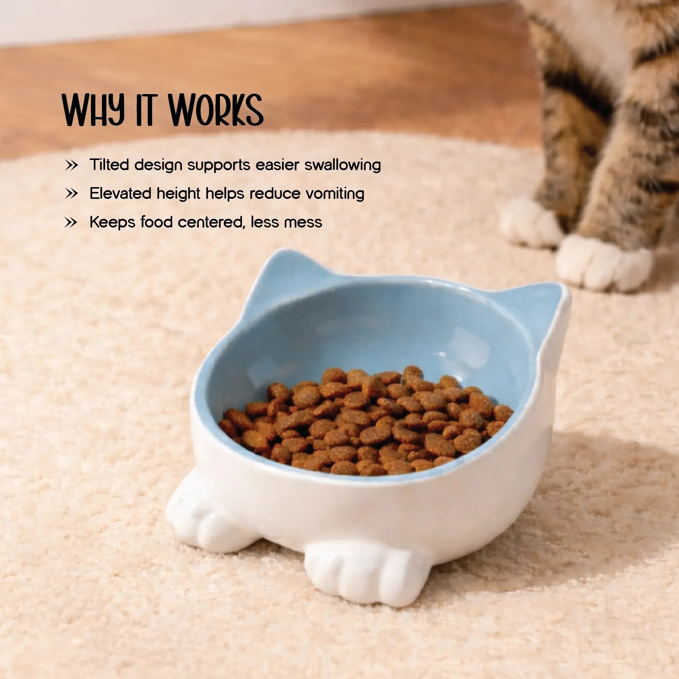 Mysa Tilt Bowl – Tilted Ceramic Feeding Bowl for Cats