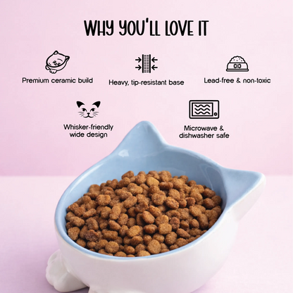 Mysa Tilt Bowl – Tilted Ceramic Feeding Bowl for Cats