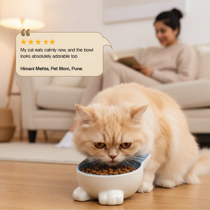 Mysa Tilt Bowl – Tilted Ceramic Feeding Bowl for Cats