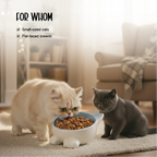 Mysa Tilt Bowl – Tilted Ceramic Feeding Bowl for Cats