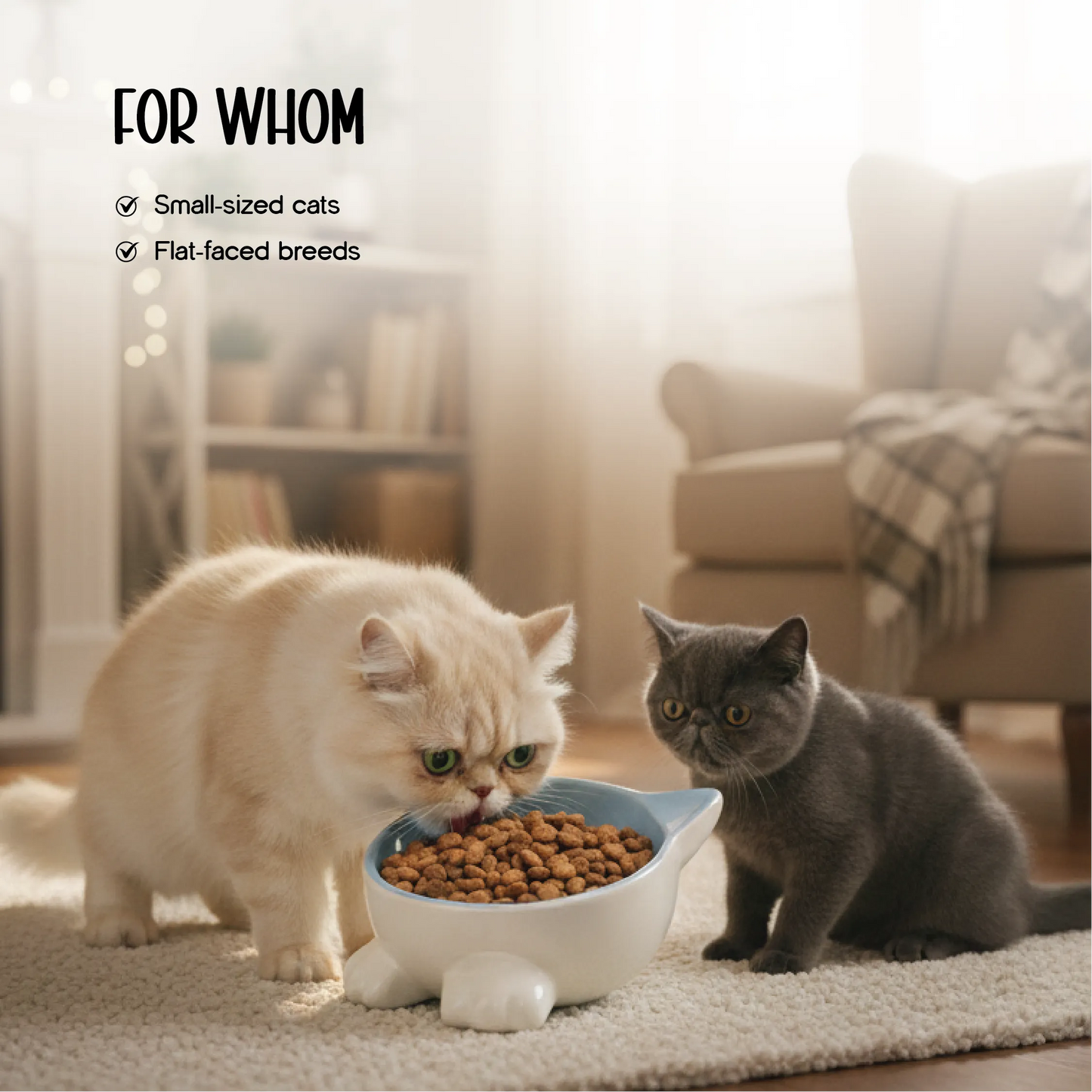 Mysa Tilt Bowl – Tilted Ceramic Feeding Bowl for Cats